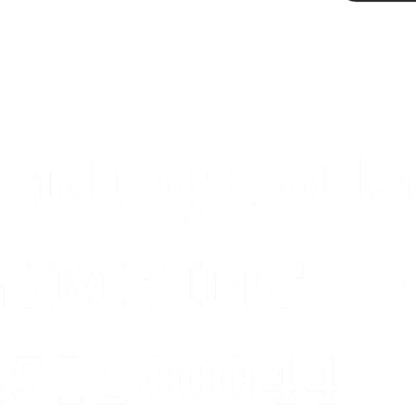 Plumbing Back print Thumbnail