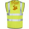 Lynton Hi Vis Vest Thumbnail